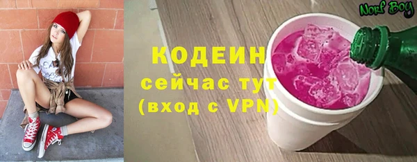 ГАЛЛЮЦИНОГЕННЫЕ ГРИБЫ Михайлов
