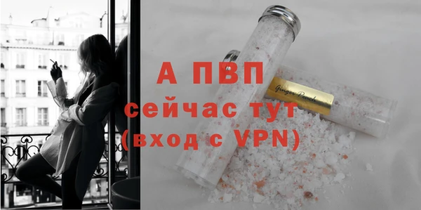ГАЛЛЮЦИНОГЕННЫЕ ГРИБЫ Михайлов