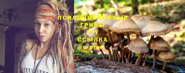 ГАЛЛЮЦИНОГЕННЫЕ ГРИБЫ Михайлов