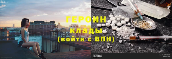 ГАЛЛЮЦИНОГЕННЫЕ ГРИБЫ Михайлов
