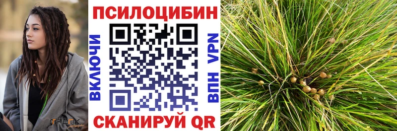купить наркотик Дубовка Псилоцибиновые грибы GOLDEN TEACHER