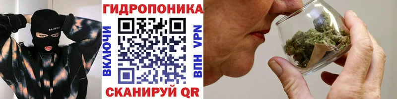 Каннабис ГИДРОПОН Дубовка